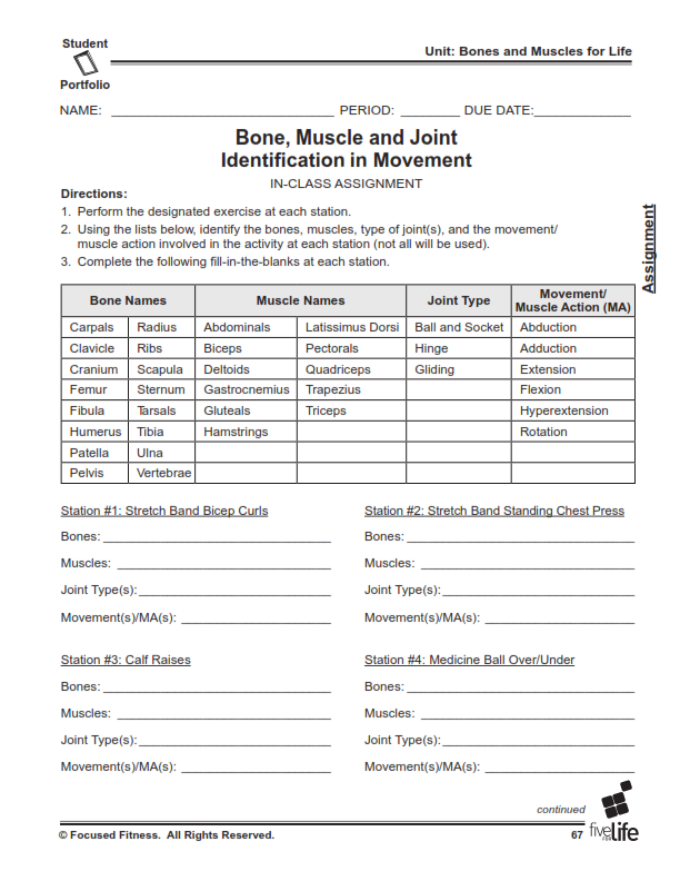 Physical Education Middle High School Portfolio Fitness Plan